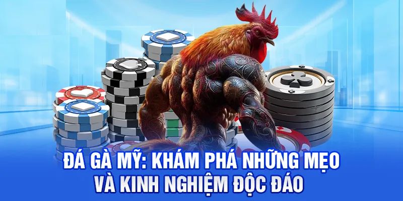 Kinh nghiệm cược đá gà chiến thắng cho tân binh 